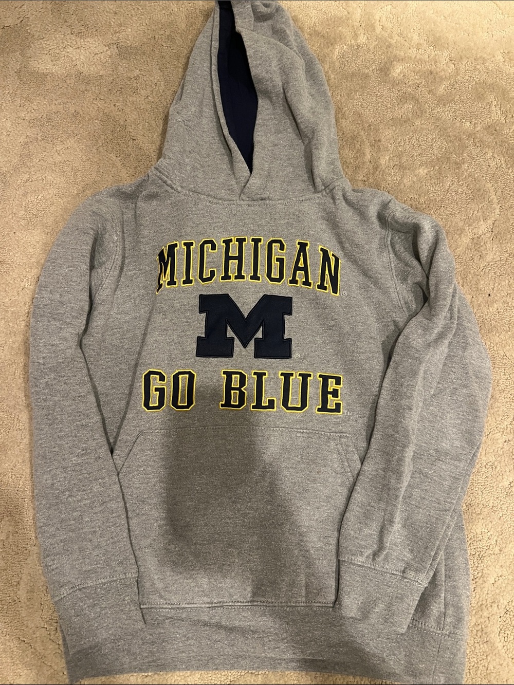 Boys Michigan Go Blue Grey Hoodie with Navy M Crest size S (8-10)